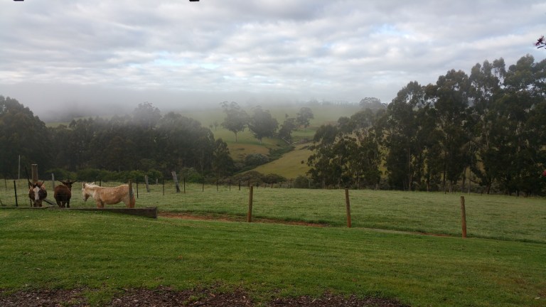 2014-11-19 06.17.43-11