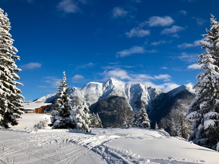 FullSizeRender 13.jpg